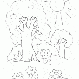 Gli alberi in estate