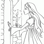 I segreti del castello