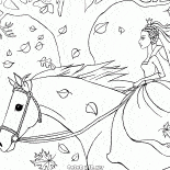 EQUITAZIONE