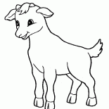 Capra Piccolo