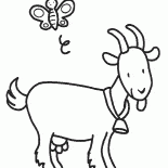 Capra con una campana al collo