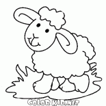Agnello dolce