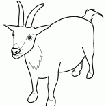 Capra Alert