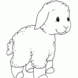 Piccolo agnello su una passeggiata