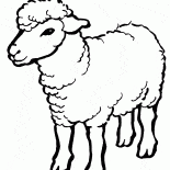 Simbolo 2015