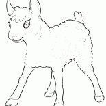 Little Lamb divertirsi