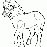 Cavallo cammina