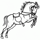 Cavallo nel circo