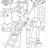 Birdhouse su un albero