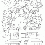 Fiori lilla