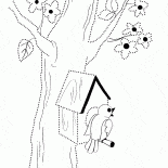 Scatola di nidificazione