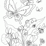 Gigli fioriscono