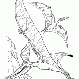 Pteranodonte e uno pterodattilo