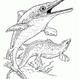 Ittiosauro e plesiosauro