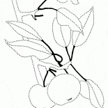 Mela ramo di un albero
