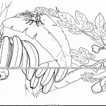 Fichi e banane