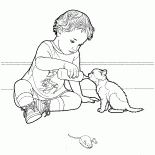 Gattino