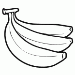 Olio di palma frutta