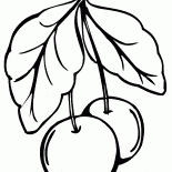 Ciliegia