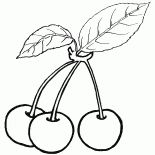Ciliegie