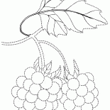 Bacche Artigianato