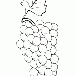 Grappolo duva