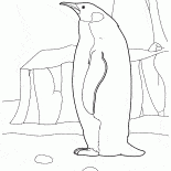 Penguin nellArtico