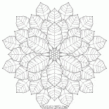 Fiocco di neve insolita