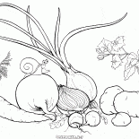 Verdure dellorto