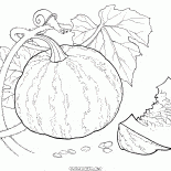 Zucca in città