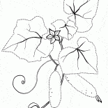 Cetriolo