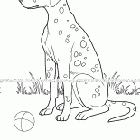 Cane Spotted