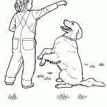 Labrador