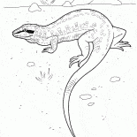 Lucertola sulla caccia