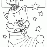 I sogni diventano realtà