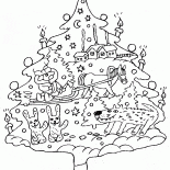 Albero Insolito