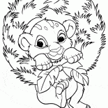 Simba e Capodanno