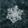 Fiocchi di neve