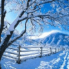 Stagioni: Inverno